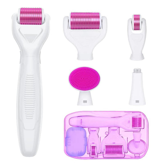 6-in-1 Microneedle Roller Set